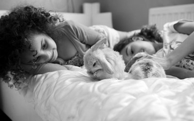 Nobivac Bunnies in bed Image bank A+M